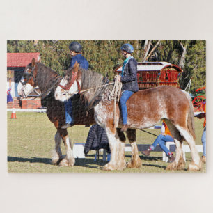 Bareback Clydesdale Pferdereiten