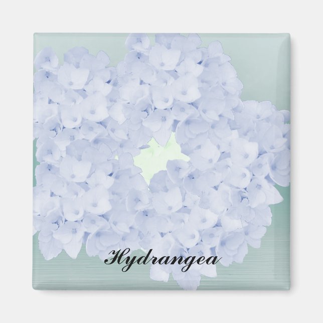 Barely Blue Hydrangea Magnet (Vorne)