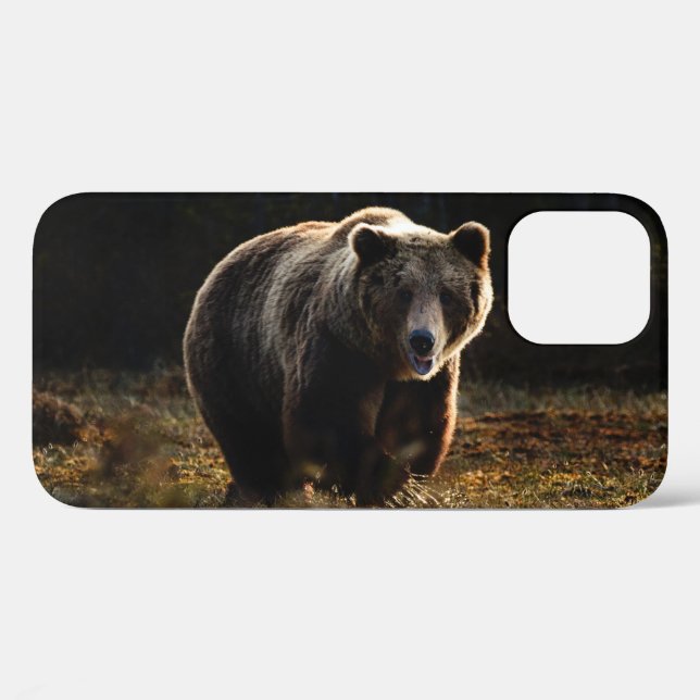 Bären iPhone 12 Hülle (Rückseite (Horizontal))