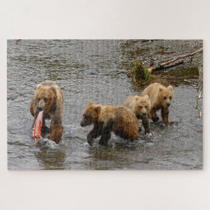 Bären und 3 Jungen, Brooks Falls Alaska