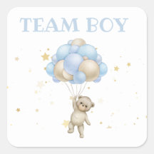 Bären und Bunny Gender Reveal Team Boy