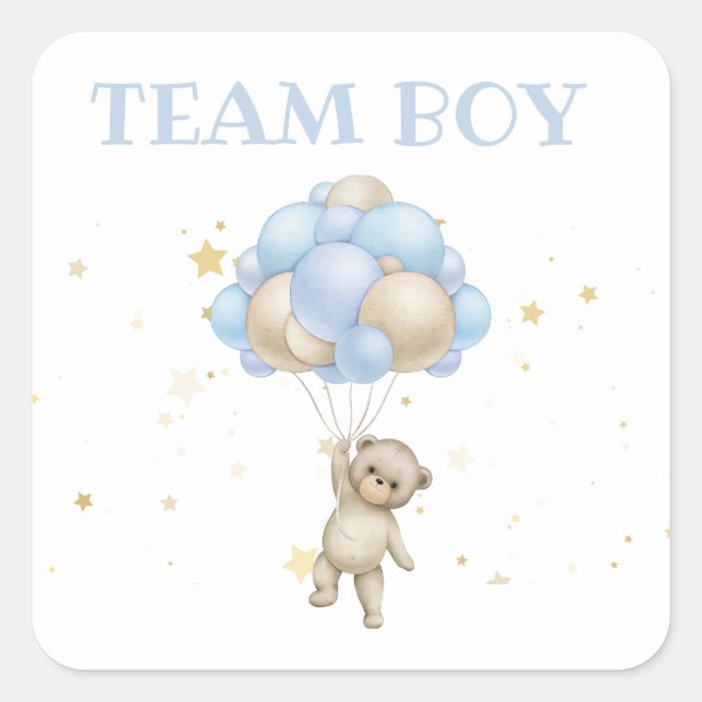 Bären und Bunny Gender Reveal Team Boy Quadratischer Aufkleber (Vorderseite)