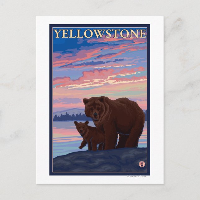 Bären und Cub - Yellowstone Nationalpark Postkarte (Vorderseite)