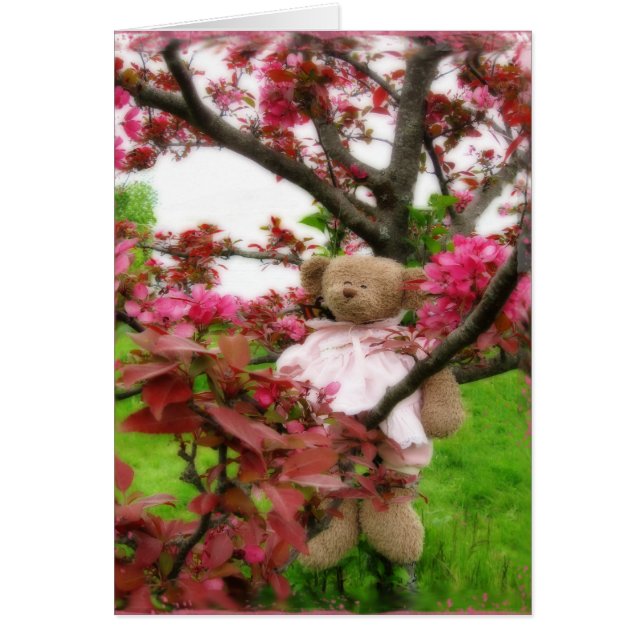 Bärenblüten (Vorne)