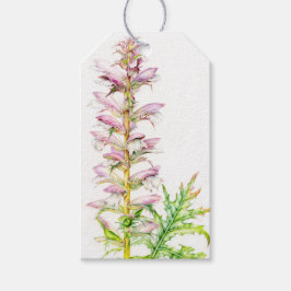 Bärenbrauen rosa Blume Aquarellmarke Geschenkanhänger