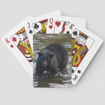 Bärendecke