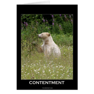 Bärendesign für Tierschützer und Wildtiere
