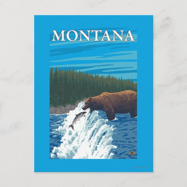 Bärenfischerei im Fluss - Montana Postkarte (Vorderseite)
