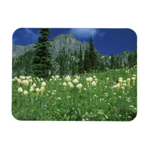 Bärengras am Eunice Lake, Mt. Rainier NP, WA, Magnet