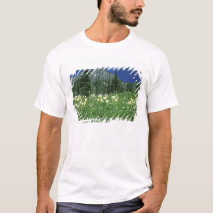 Bärengras am Eunice Lake, Mt. Rainier NP, WA, T-Shirt