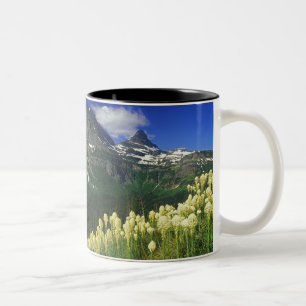 Bärengras am Logan Pass im Glacier-Nationalpark Zweifarbige Tasse