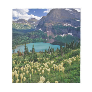 Bärengras über dem Grinnellsee Notizblock