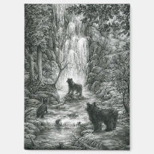 Bärenjunge besuchen den Wasserfall