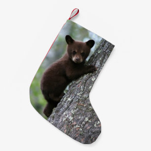 Bärenjunges, das einen Baum klettert Kleiner Weihnachtsstrumpf
