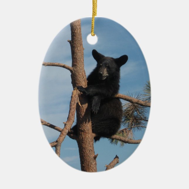Bärenjunges in einem Baum Keramikornament (Vorne)