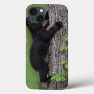 Bärenjunges klettert auf einen Baum Case-Mate iPhone Hülle