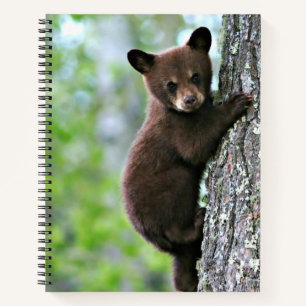 Bärenjunges klettert auf einen Baum, Notizbuch