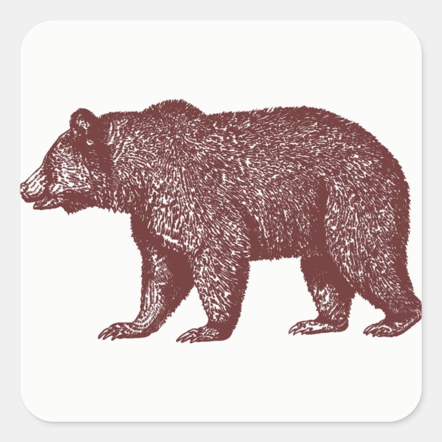 Bärenkleber Quadratischer Aufkleber (Vorderseite)