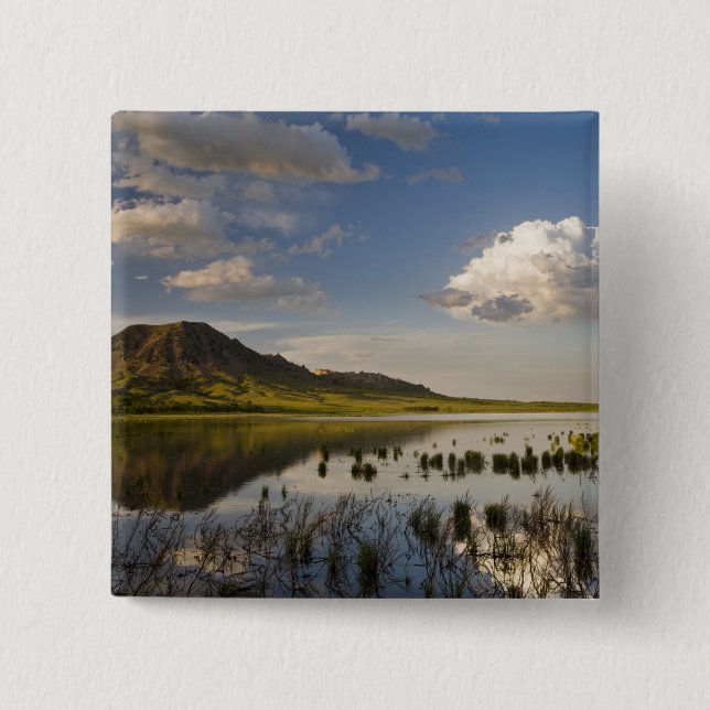 Bärenknöpfe spiegeln sich in den Bären-Butte-See i Button (Vorderseite)