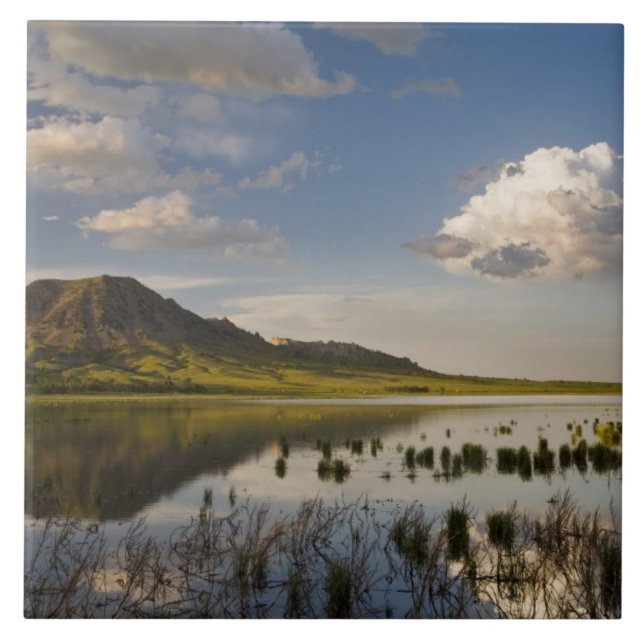 Bärenknöpfe spiegeln sich in den Bären-Butte-See i Fliese (Vorderseite)