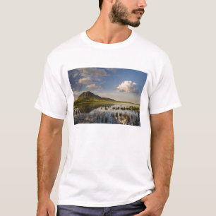 Bärenknöpfe spiegeln sich in den Bären-Butte-See i T-Shirt