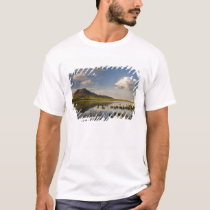 Bärenknöpfe spiegeln sich in den Bären-Butte-See i T-Shirt