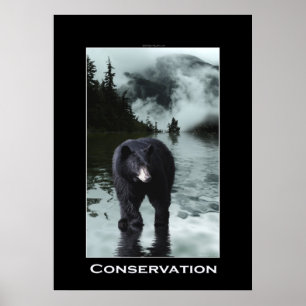 Bärenkonservierung Wildlife Poster