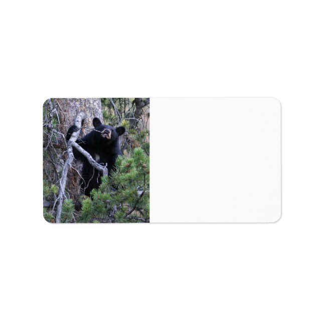 Bärenkuppe Adressaufkleber (Vorne)