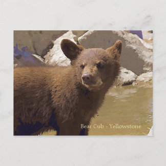 Bärenkuppe, Gelbstein Postkarte
