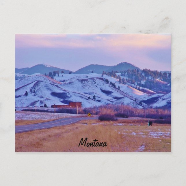 Bärenpfau Postkarte (Vorderseite)