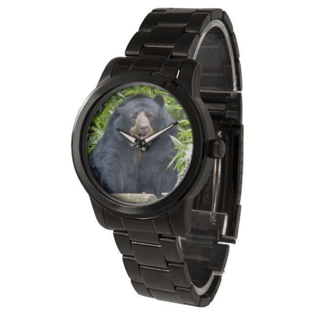Bärenportrait-Foto Armbanduhr (Schrägansicht)