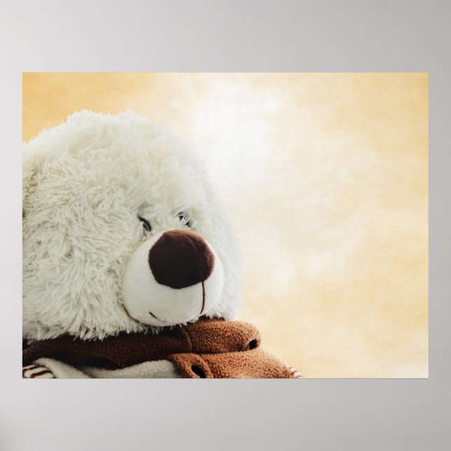 Bärenprint Poster (Vorne)