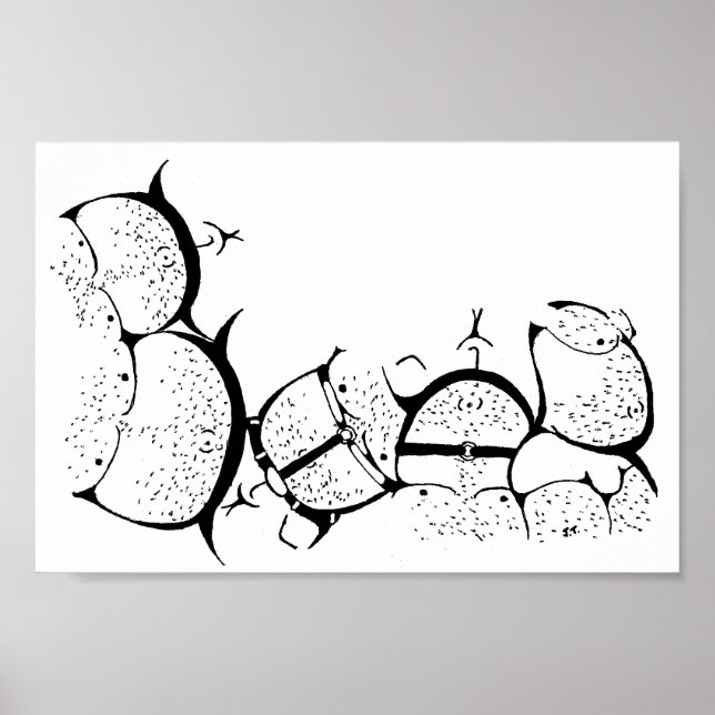 Bärenstolz! Poster (Vorne)