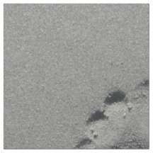Barfüßigabdruck im Strandsand-Fotogewebe