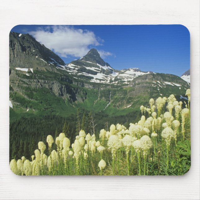 Bärgras bei Logan Pass, Gacier National Mousepad (Vorne)