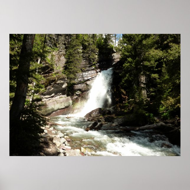 Baring Falls at Glacier National Park Poster (Vorne)