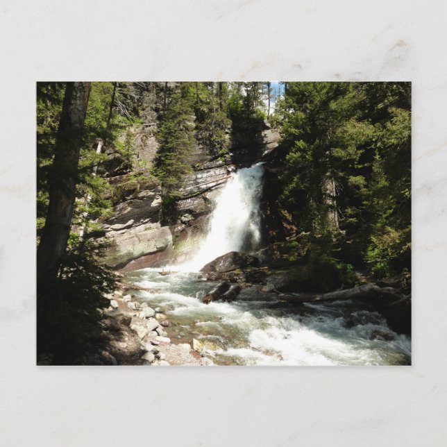 Baring Falls at Glacier National Park Postkarte (Vorderseite)
