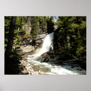 Baring Falls im Glacier-Nationalpark Poster