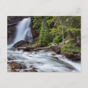 Baring Falls in Glacier National Park, Montana Postkarte