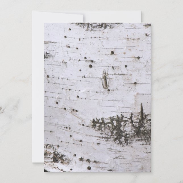 Bark (Vorderseite)