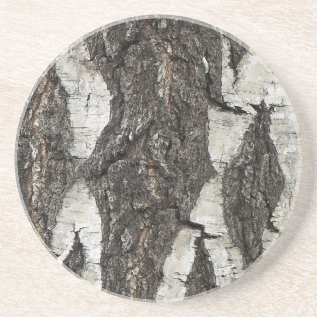 Bark Birch Wood Sandstein Untersetzer (Vorne)