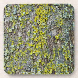 Bark Getränkeuntersetzer