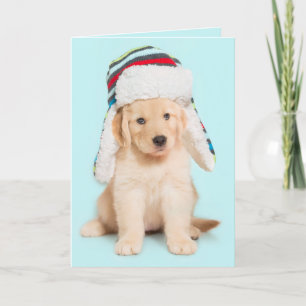 Bark Humbug Golden Retriever Welpe Feiertagskarte
