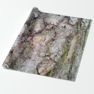 Barke der Schottekiefer Geschenkpapier