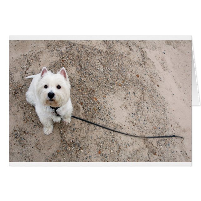Barken am Sandstrand mit Leine (Vorderseite (Horizontal))