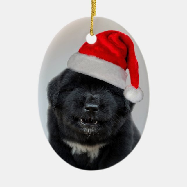 Barken-Humbug-Weihnachtsverzierung Keramik Ornament (Vorne)