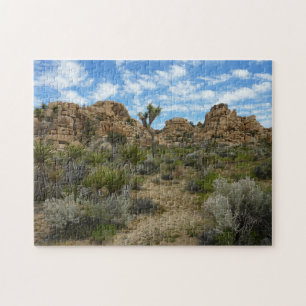 Barker Dam Loop Trail im Joshua-Tree-Nationalpark