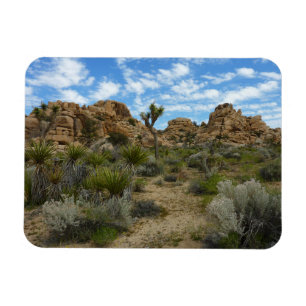 Barker Dam Loop Trail im Joshua-Tree-Nationalpark Magnet