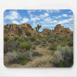 Barker Dam Loop Trail im Joshua-Tree-Nationalpark Mousepad