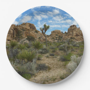 Barker Dam Loop Trail im Joshua-Tree-Nationalpark Pappteller